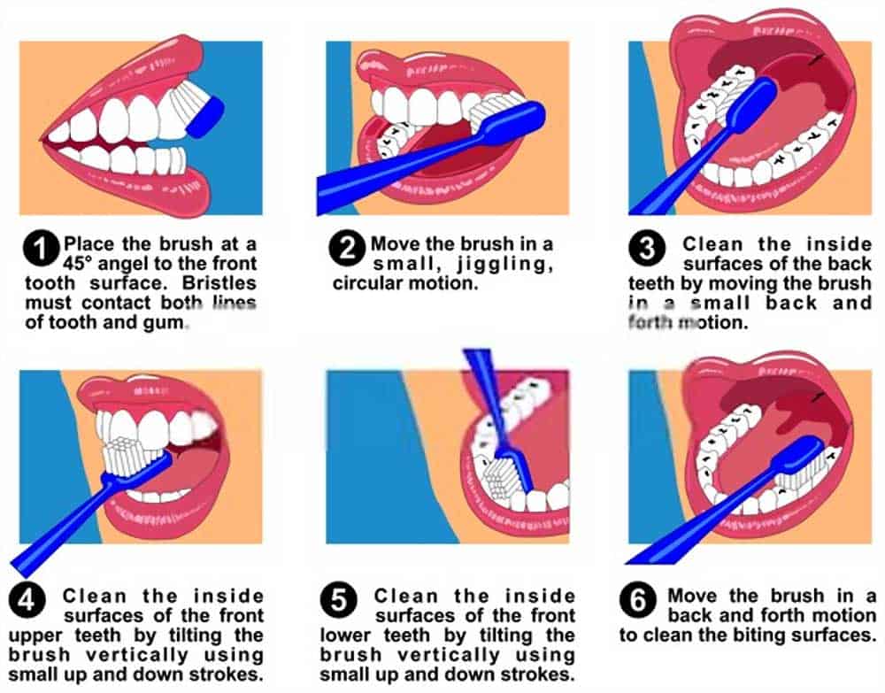 tips for toothbrushing vector image