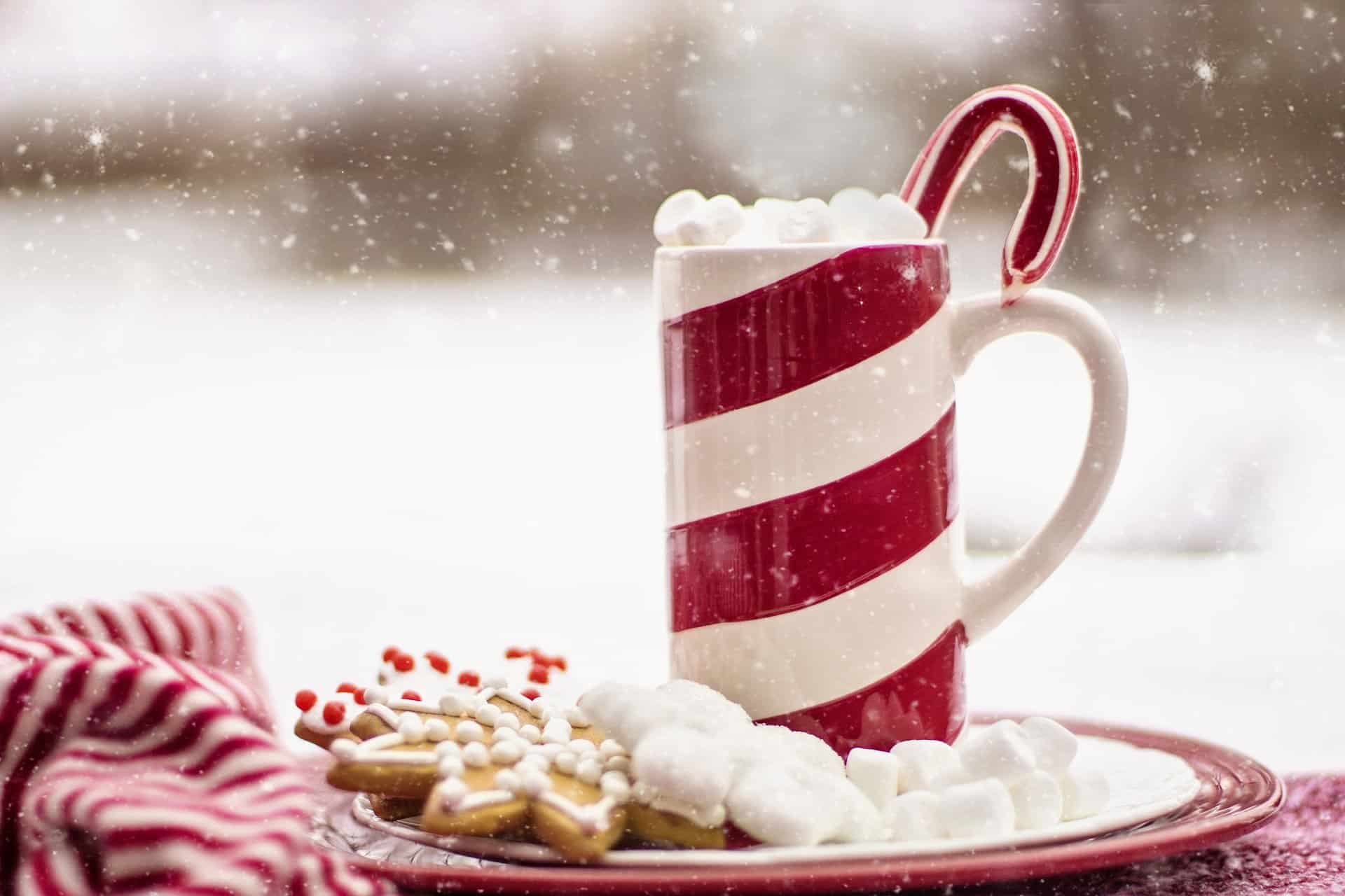 Hot Cocoa and Christmas cookies and marshmallows